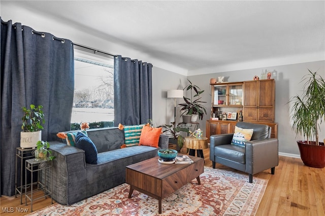 living room featuring light hardwood / wood-style floors