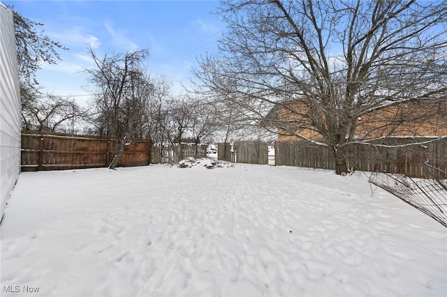 view of yard layered in snow