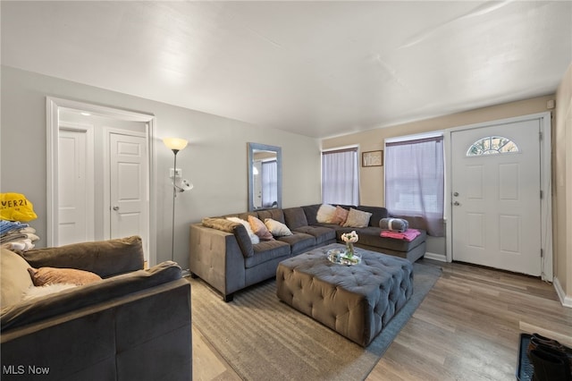 living room featuring light wood-type flooring