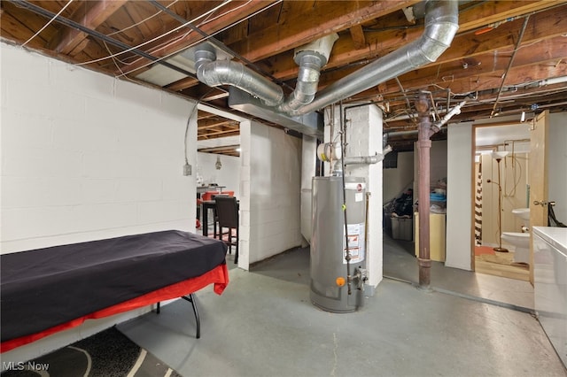 basement featuring gas water heater