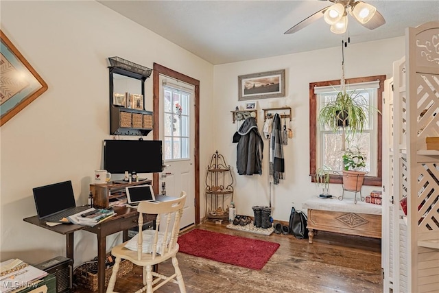 office space with ceiling fan and wood-type flooring