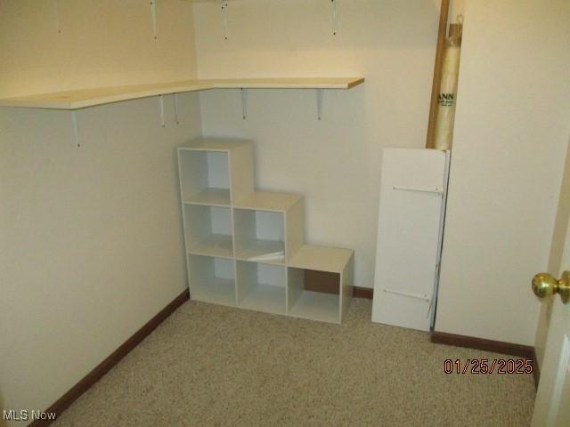 basement featuring light colored carpet