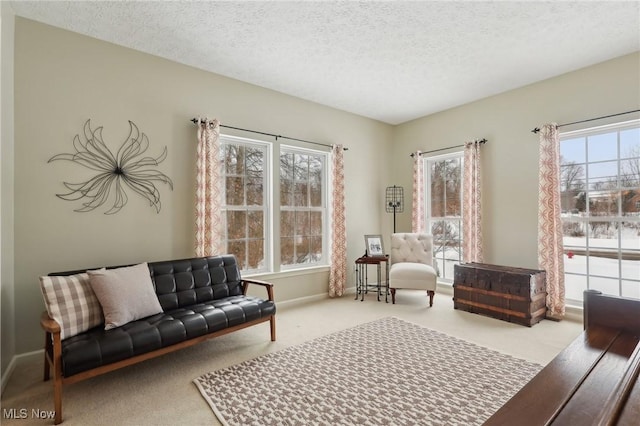 living room featuring light carpet and a textured ceiling