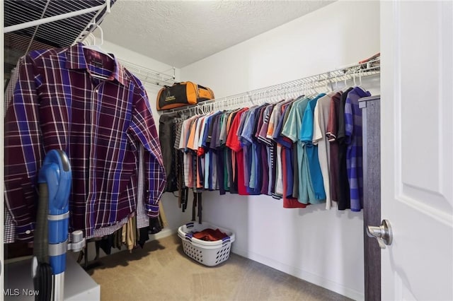 walk in closet featuring carpet floors