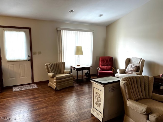 living area with dark wood-type flooring