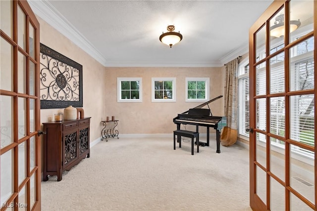 miscellaneous room with french doors, carpet, and a wealth of natural light