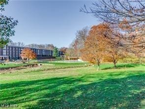 view of community featuring a lawn