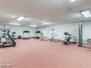 workout area featuring carpet floors