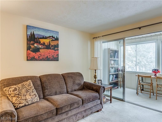 living room featuring a textured ceiling and carpet