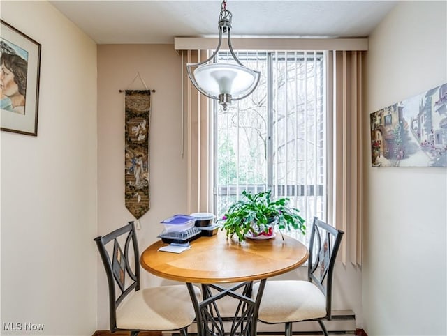 view of dining space