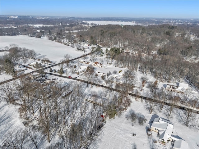 view of snowy aerial view