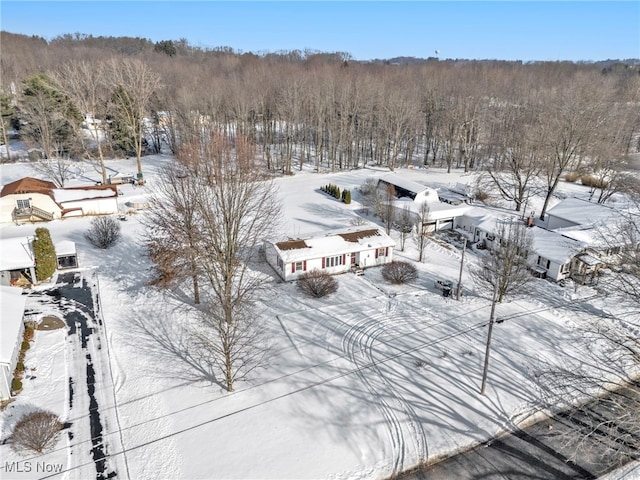 view of snowy aerial view