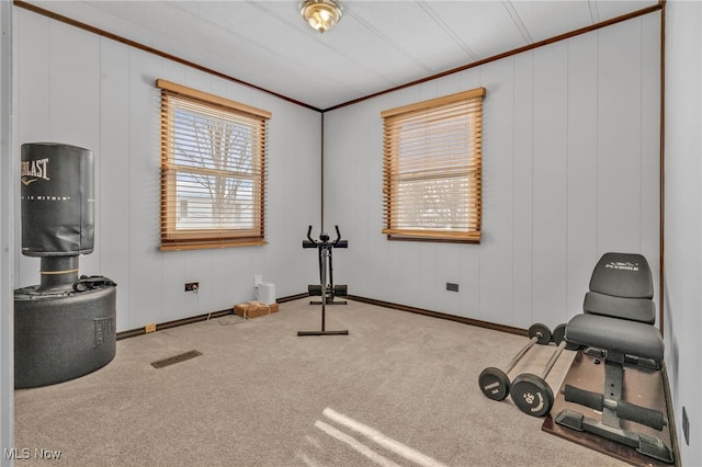 workout room featuring ornamental molding and carpet