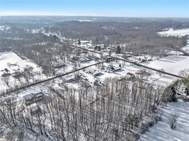 view of snowy aerial view