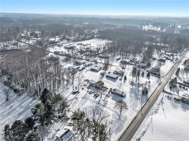 view of snowy aerial view