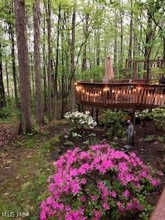 view of yard featuring a wooden deck