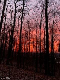 view of nature at dusk