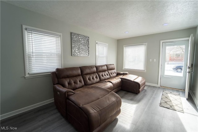 living room featuring hardwood / wood-style floors and a textured ceiling