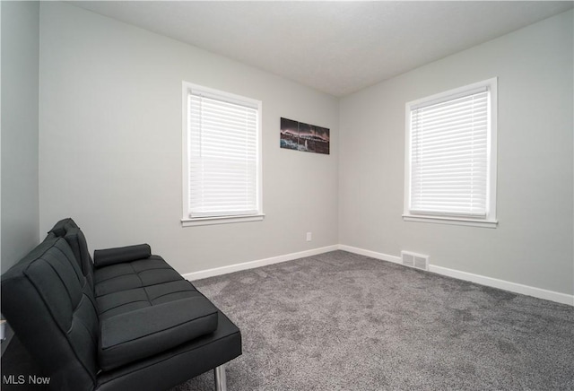 sitting room featuring carpet