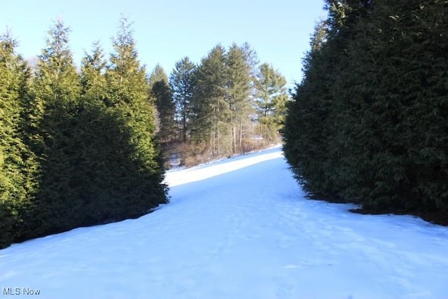 view of road