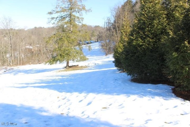 view of yard covered in snow