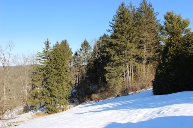 view of snow covered land