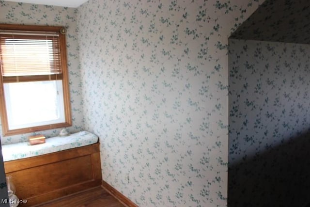 bathroom featuring wood-type flooring