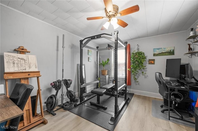 workout room with crown molding, ceiling fan, and light hardwood / wood-style floors