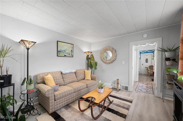 living room with light wood-type flooring