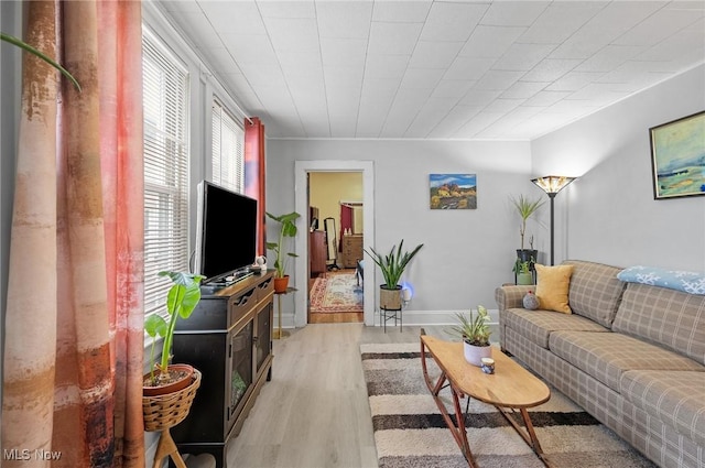 living room with light hardwood / wood-style flooring