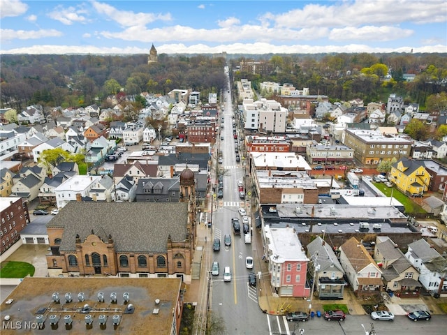 drone / aerial view