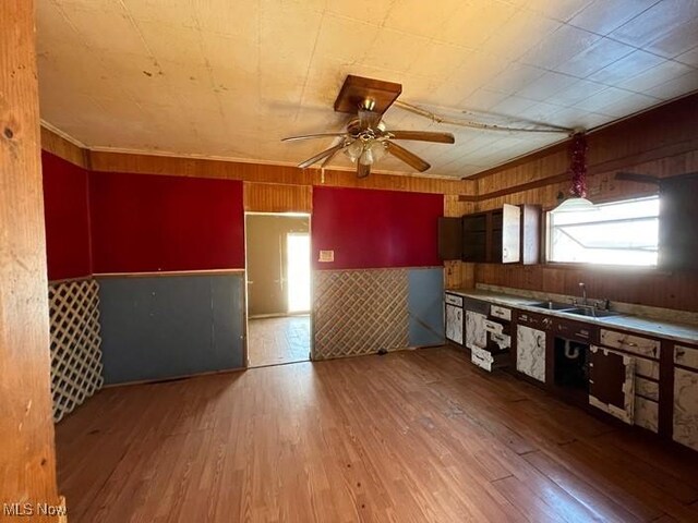 83 Watson St, Dillonvale, OH 43917 - kitchen featuring ceiling fan, wood finished floors, a sink, and plenty of natural light