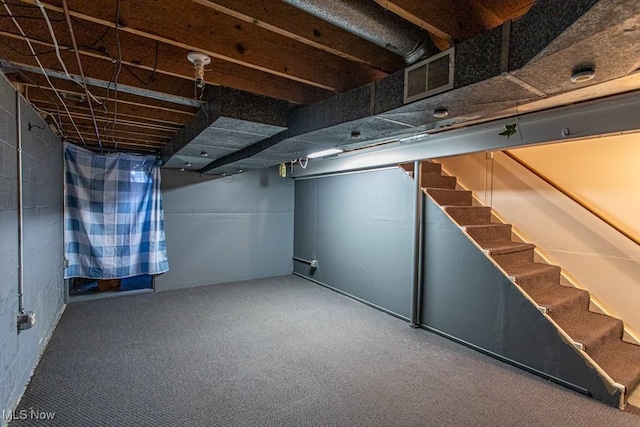 basement with carpet