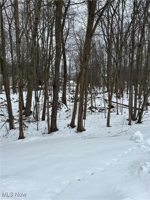 view of snowy yard