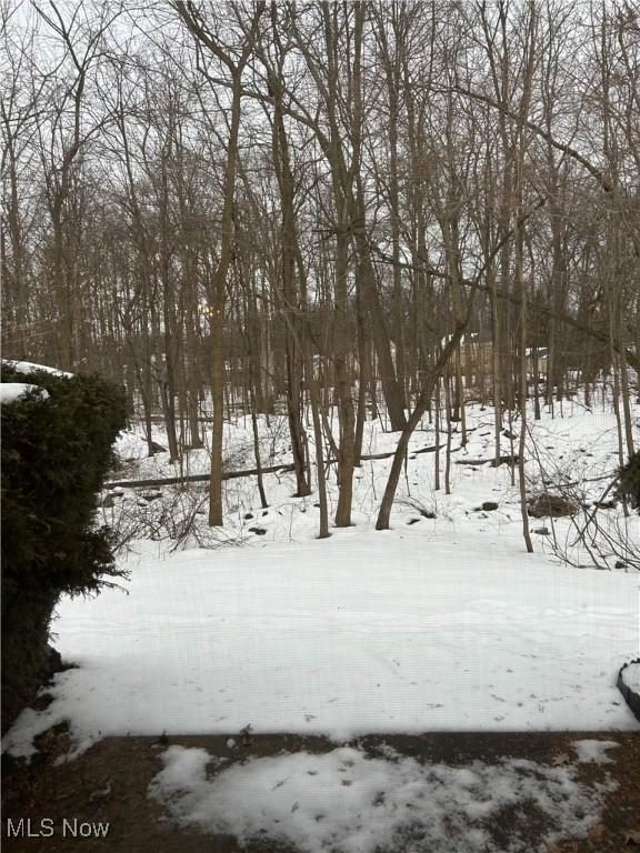 view of yard covered in snow