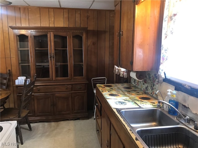 kitchen featuring sink and wood walls