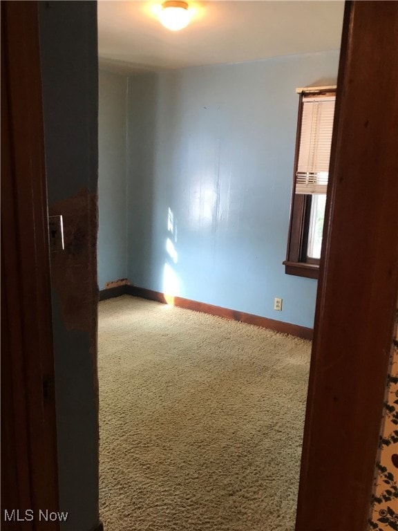 unfurnished room with carpet