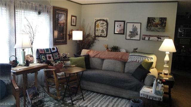 13 Cherokee, Creston, OH 44217 - view of living area