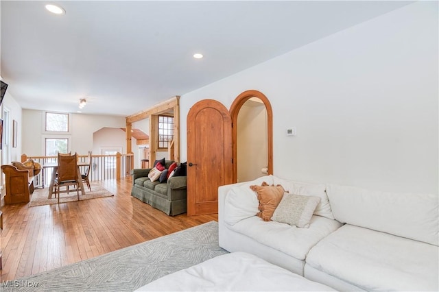 living room with wood-type flooring