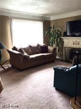 living room featuring plenty of natural light and carpet floors