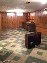 basement with wooden walls