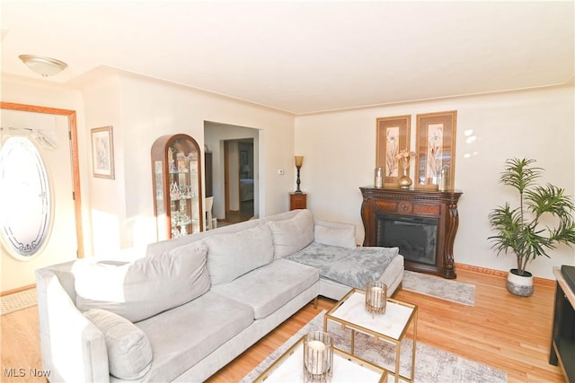 living room with hardwood / wood-style flooring