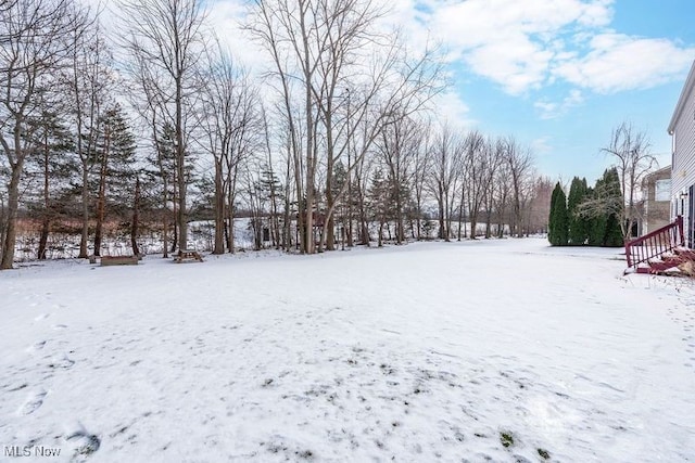 view of snowy yard