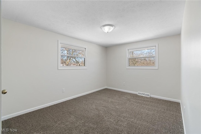 spare room with carpet flooring and a textured ceiling