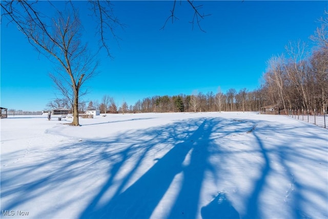 view of snowy yard