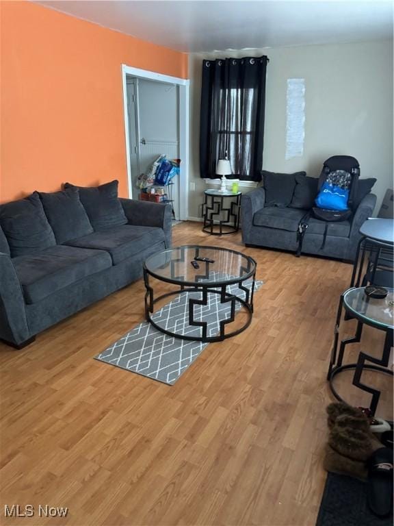 living room with wood-type flooring