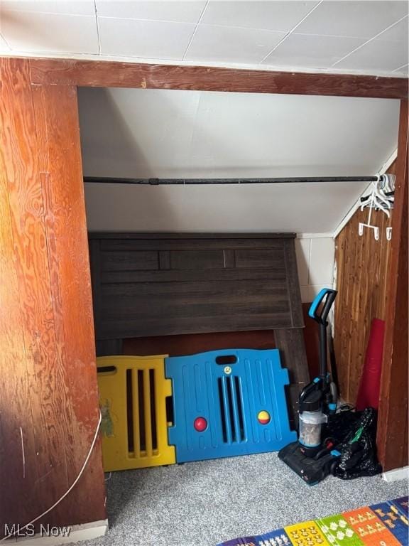 interior space featuring carpet and wooden walls