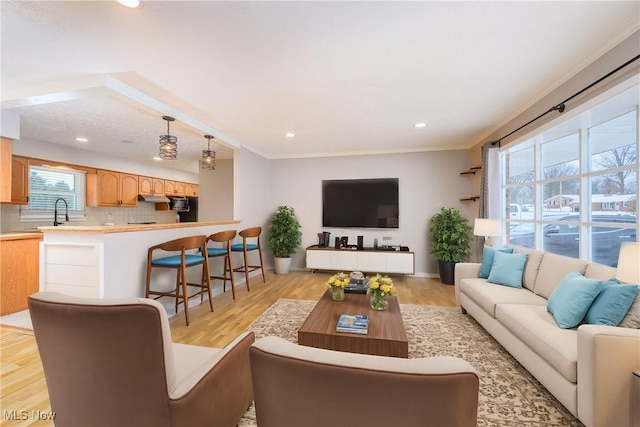 living room with ornamental molding, sink, and light wood-type flooring