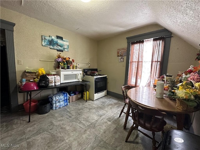 interior space with vaulted ceiling and a textured ceiling