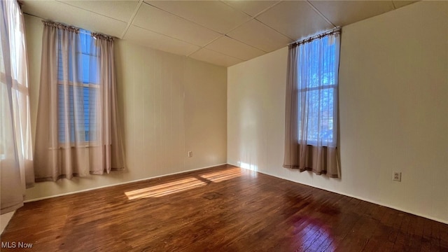 spare room featuring a drop ceiling and hardwood / wood-style floors